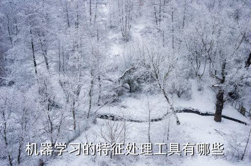 機器學(xué)習(xí)的特征處理工具有哪些