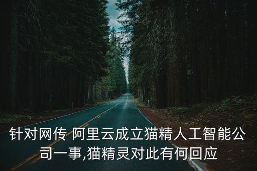 針對網(wǎng)傳 阿里云成立貓精人工智能公司一事,貓精靈對此有何回應(yīng)