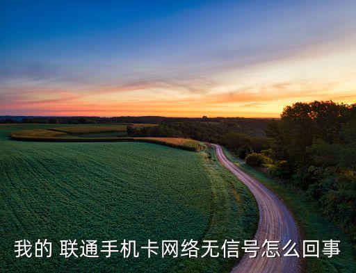 我的 聯(lián)通手機卡網(wǎng)絡(luò)無信號怎么回事