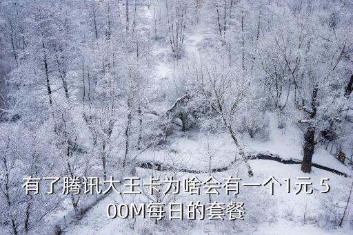 有了騰訊大王卡為啥會有一個1元 500M每日的套餐
