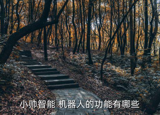 小帥智能 機(jī)器人的功能有哪些