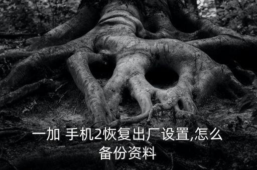  一加 手機2恢復(fù)出廠設(shè)置,怎么 備份資料