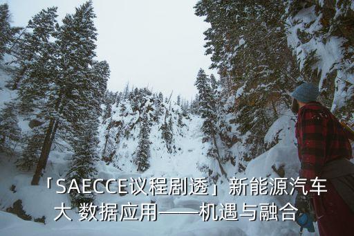 「SAECCE議程劇透」新能源汽車大 數(shù)據(jù)應(yīng)用——機(jī)遇與融合