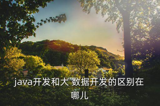 java開發(fā)和大 數(shù)據(jù)開發(fā)的區(qū)別在哪兒