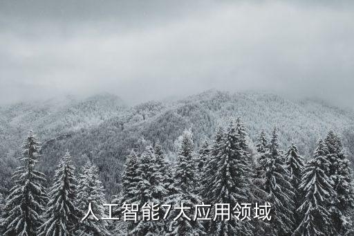 人工智能7大應用領域