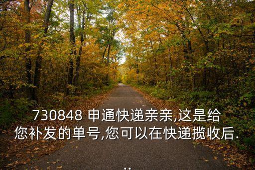 730848 申通快遞親親,這是給您補發(fā)的單號,您可以在快遞攬收后...