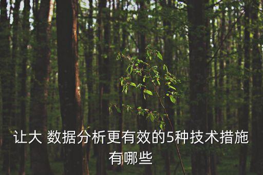讓大 數(shù)據(jù)分析更有效的5種技術(shù)措施有哪些