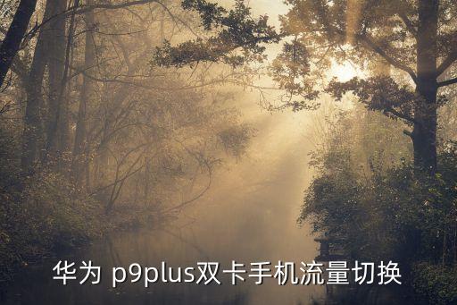 華為 p9plus雙卡手機流量切換