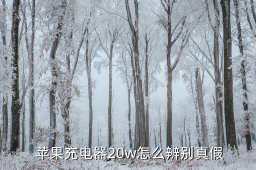 蘋(píng)果數(shù)據(jù)線(xiàn)真?zhèn)螆D片,愛(ài)思怎么查蘋(píng)果數(shù)據(jù)線(xiàn)真?zhèn)? /></a><a href=