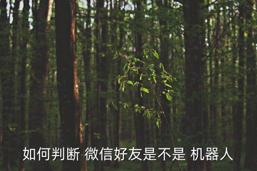 微信探秘機(jī)器人,chatGpt微信機(jī)器人