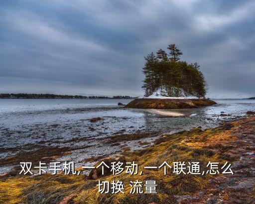 安卓蜂窩移動(dòng)數(shù)據(jù)流量,蜂窩移動(dòng)數(shù)據(jù)流量有,但是連接不上怎么辦