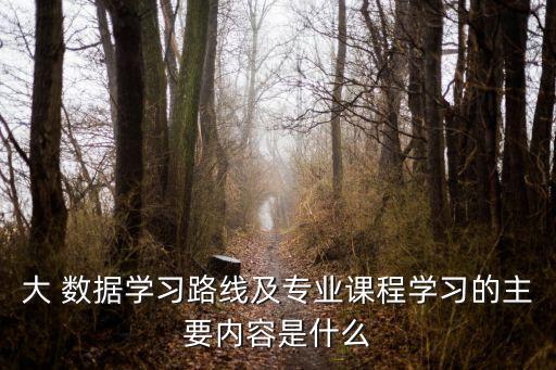 大 數(shù)據(jù)學(xué)習(xí)路線及專業(yè)課程學(xué)習(xí)的主要內(nèi)容是什么