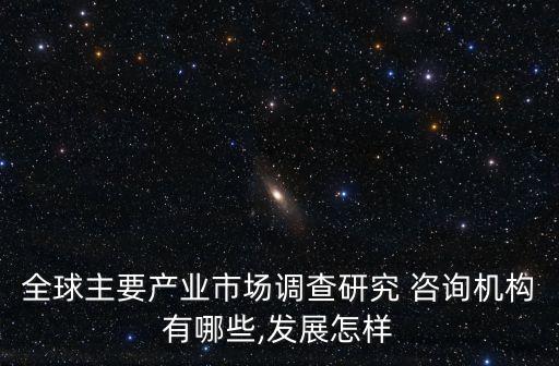 全球主要產(chǎn)業(yè)市場調(diào)查研究 咨詢機構(gòu)有哪些,發(fā)展怎樣
