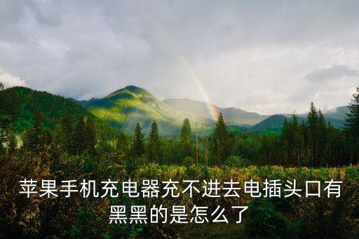  蘋(píng)果手機(jī)充電器充不進(jìn)去電插頭口有黑黑的是怎么了
