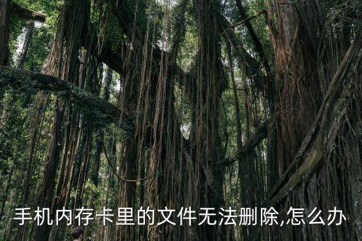 如何清除sd卡數(shù)據(jù),如何恢復(fù)sd卡數(shù)據(jù)