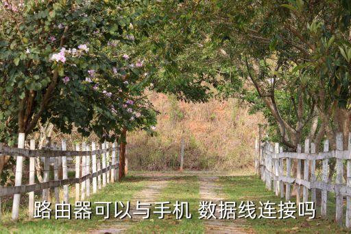 路由器可以與手機(jī) 數(shù)據(jù)線連接嗎
