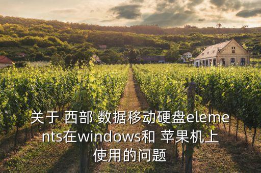 關(guān)于 西部 數(shù)據(jù)移動硬盤elements在windows和 蘋果機上使用的問題