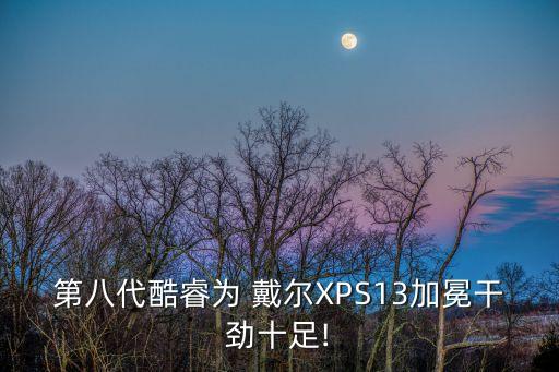 戴爾xps13處理數(shù)據(jù)