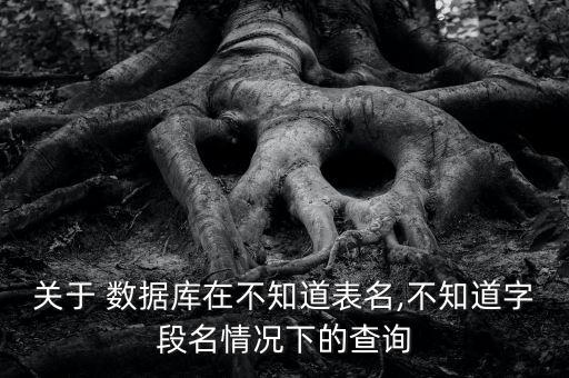 關(guān)于 數(shù)據(jù)庫(kù)在不知道表名,不知道字段名情況下的查詢