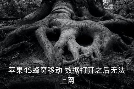 蘋果4S蜂窩移動(dòng) 數(shù)據(jù)打開之后無(wú)法上網(wǎng)