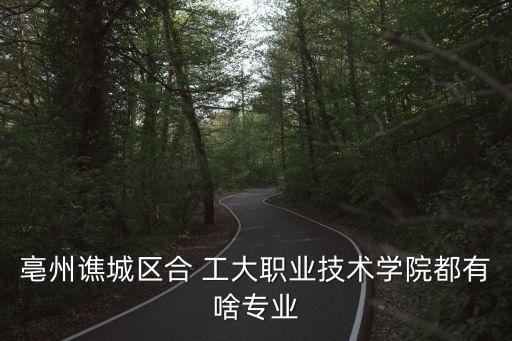 合工大機(jī)器人