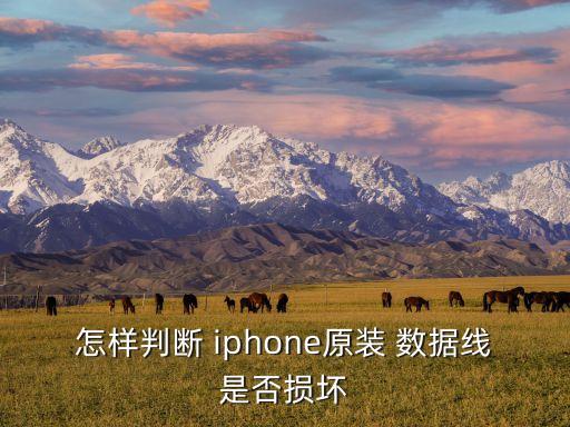 怎樣判斷 iphone原裝 數(shù)據(jù)線是否損壞