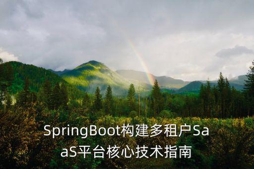 SpringBoot構(gòu)建多租戶SaaS平臺(tái)核心技術(shù)指南