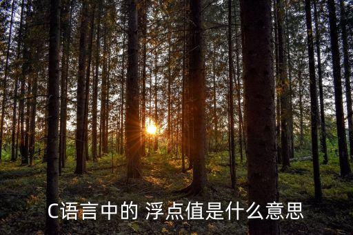 C語言中的 浮點(diǎn)值是什么意思