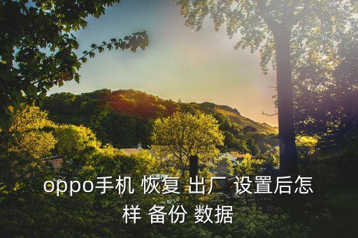 oppo手機(jī) 恢復(fù) 出廠 設(shè)置后怎樣 備份 數(shù)據(jù)