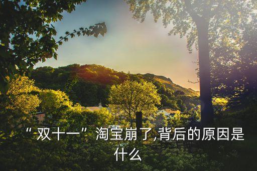 雙十一數(shù)據(jù)視頻,2022雙十一數(shù)據(jù)