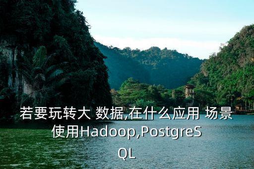 若要玩轉(zhuǎn)大 數(shù)據(jù),在什么應(yīng)用 場景使用Hadoop,PostgreSQL
