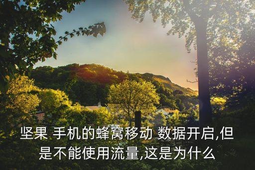 堅果 手機的蜂窩移動 數(shù)據(jù)開啟,但是不能使用流量,這是為什么