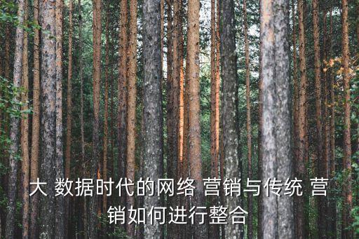 大 數(shù)據(jù)時代的網(wǎng)絡(luò) 營銷與傳統(tǒng) 營銷如何進行整合