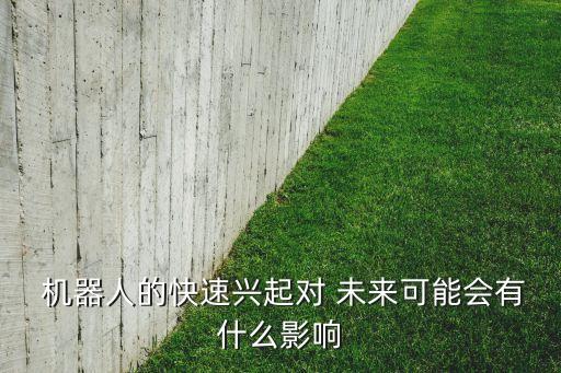  機(jī)器人的快速興起對(duì) 未來可能會(huì)有什么影響