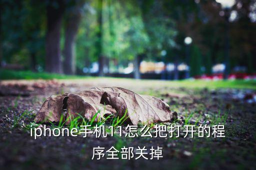 iphone手機(jī)11怎么把打開的程序全部關(guān)掉