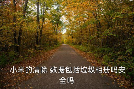  小米的清除 數(shù)據(jù)包括垃圾相冊(cè)嗎安全嗎
