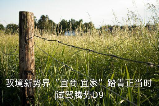 馭境新勢界“宜商 宜家”踏青正當時|試駕騰勢D9