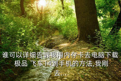誰可以詳細(xì)告訴我用內(nèi)存卡去電腦下載 極品 飛車14到手機(jī)的方法,我剛?cè)?..