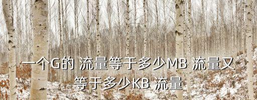 一個(gè)G的 流量等于多少M(fèi)B 流量又等于多少KB 流量