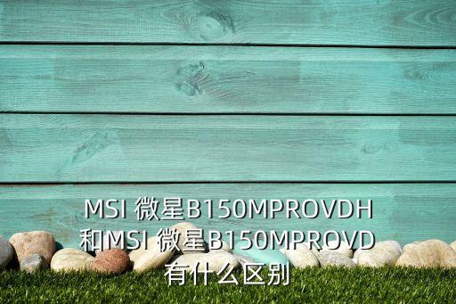 MSI 微星B150MPROVDH和MSI 微星B150MPROVD有什么區(qū)別
