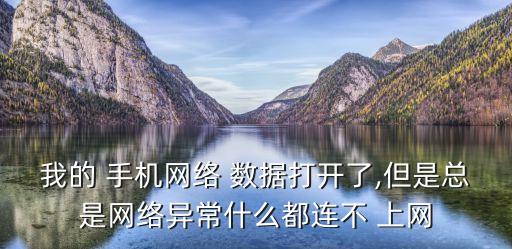 我的 手機(jī)網(wǎng)絡(luò) 數(shù)據(jù)打開(kāi)了,但是總是網(wǎng)絡(luò)異常什么都連不 上網(wǎng)