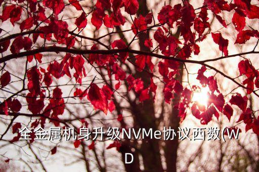 西部數(shù)據(jù) passport 拆解