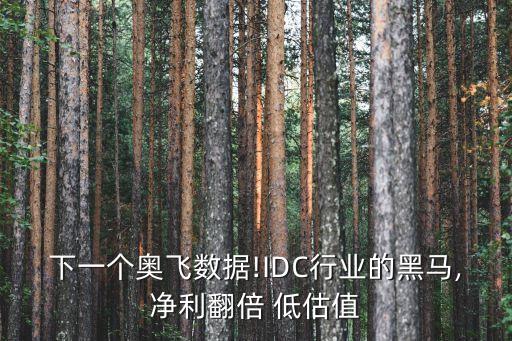 數(shù)據(jù)中心 銷售收入