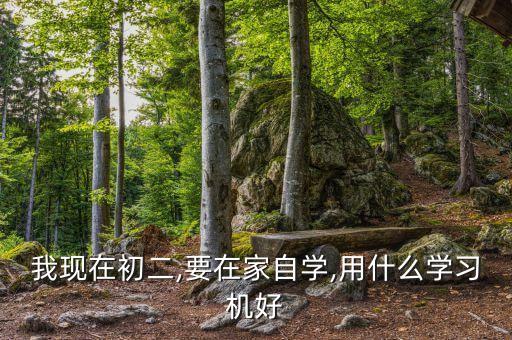 我現(xiàn)在初二,要在家自學(xué),用什么學(xué)習(xí)機(jī)好