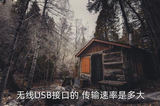 usb數(shù)據(jù)無線傳輸