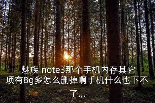 魅族note3怎么清除數(shù)據(jù),小米note3清除數(shù)據(jù)后開不開機(jī)