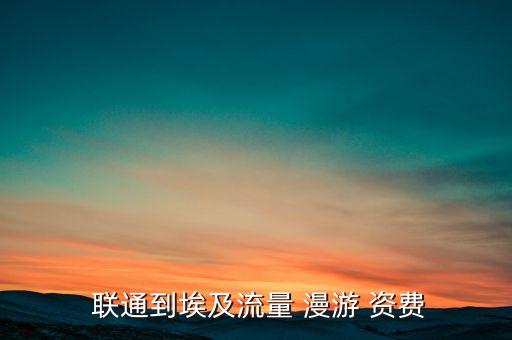  聯(lián)通到埃及流量 漫游 資費(fèi)