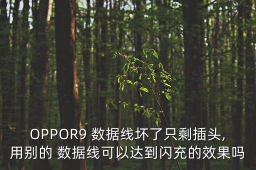 OPPOR9 數(shù)據(jù)線(xiàn)壞了只剩插頭,用別的 數(shù)據(jù)線(xiàn)可以達(dá)到閃充的效果嗎