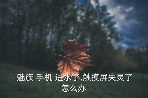 魅族手機進水壞 數(shù)據(jù),手機進水了壞了怎么恢復里面的數(shù)據(jù)