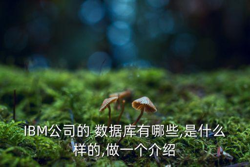 IBM公司的 數(shù)據(jù)庫(kù)有哪些,是什么樣的,做一個(gè)介紹